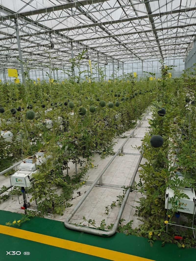 智能温室无土栽培种植275克高锌层椰糠槽支架