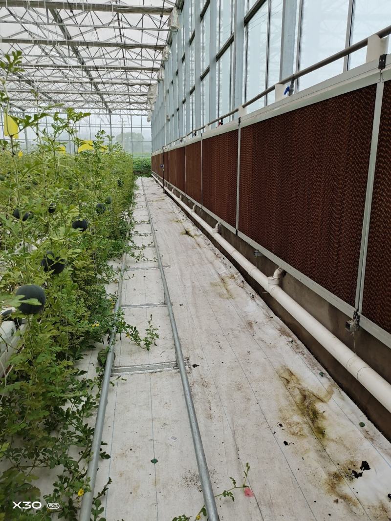 智能温室无土栽培种植275克高锌层椰糠槽支架
