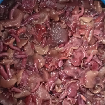 批发各种野生菌
