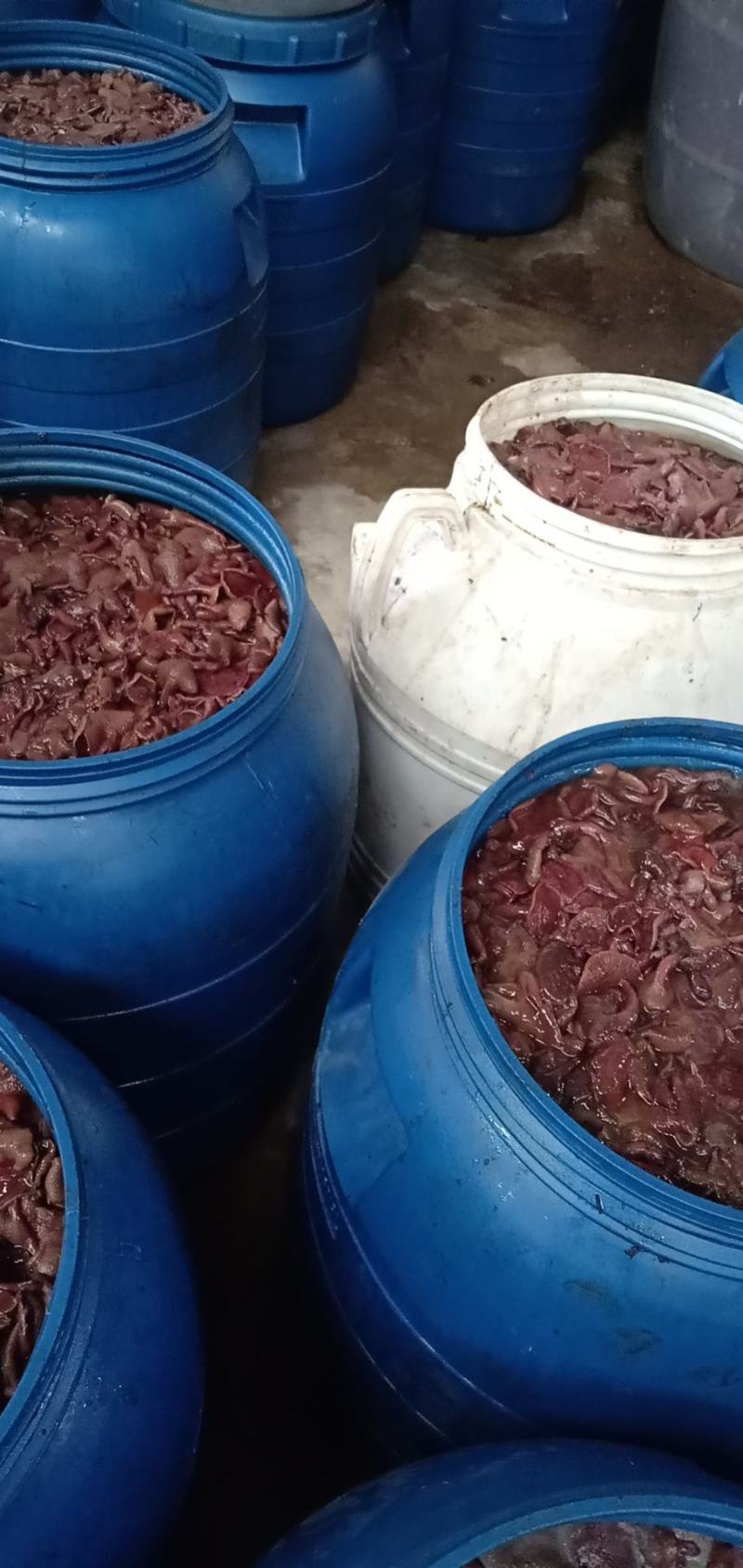 批发各种野生菌