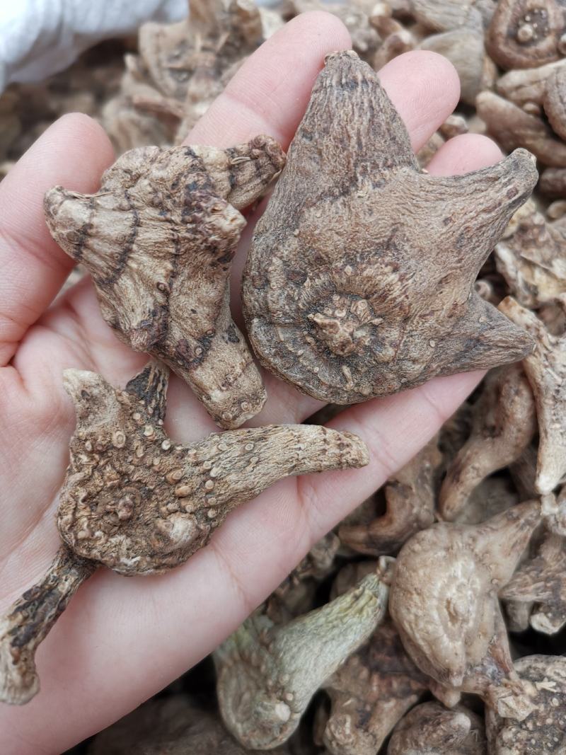 白芨云南无硫全干正品白芨规格齐全可供大货量大从优