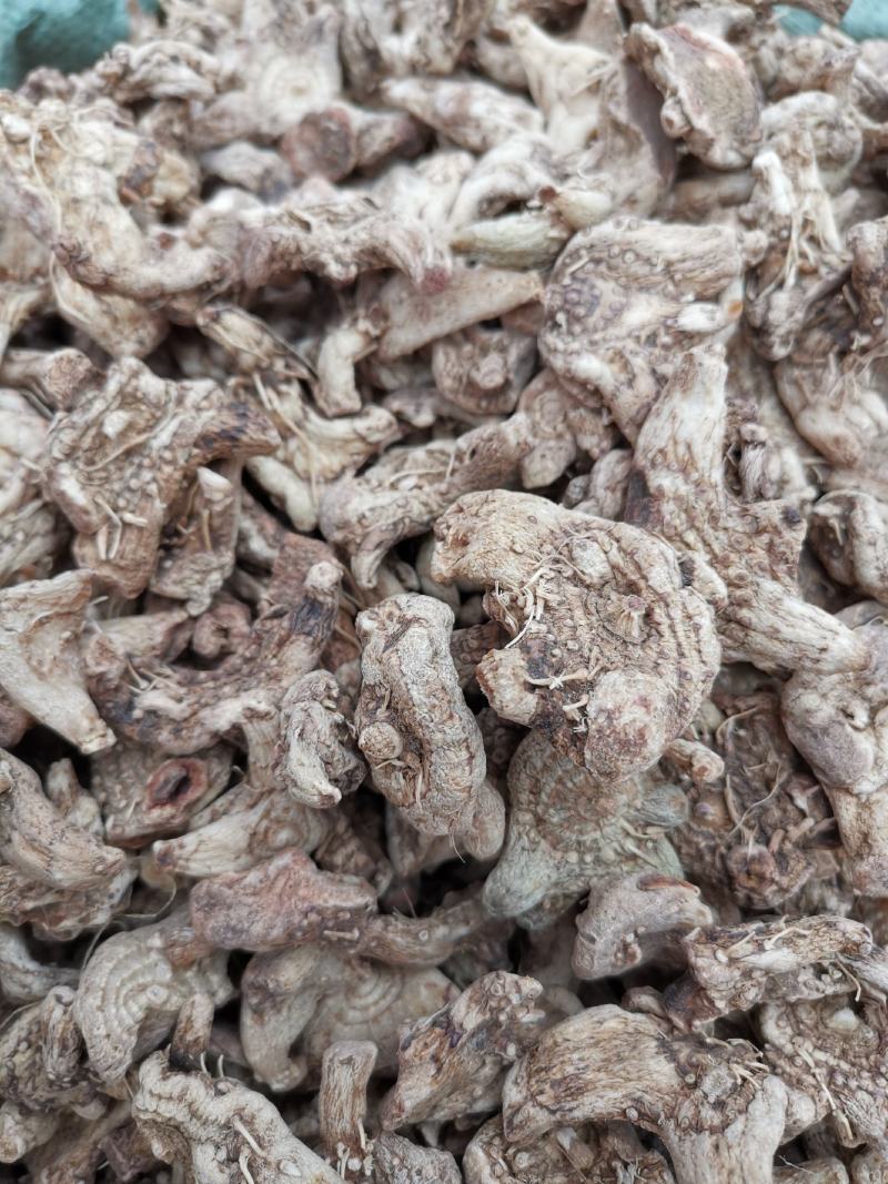 白芨云南无硫全干正品白芨规格齐全可供大货量大从优