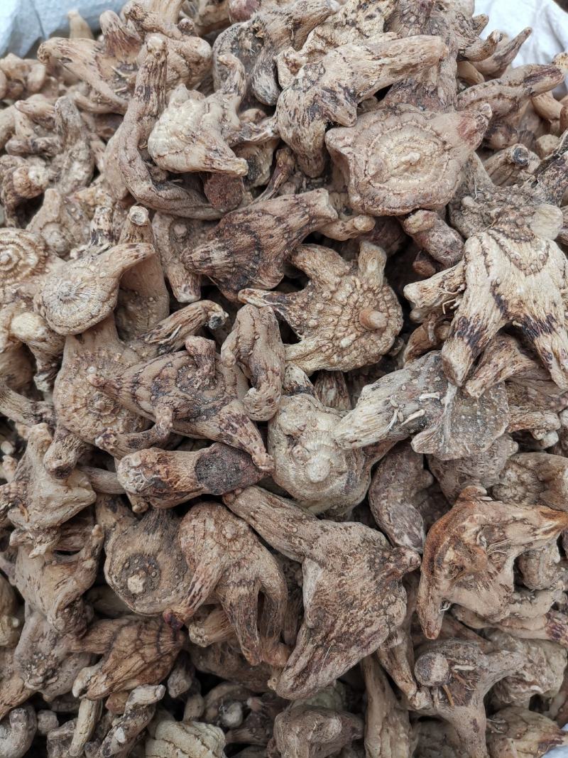 白芨云南无硫全干正品白芨规格齐全可供大货量大从优