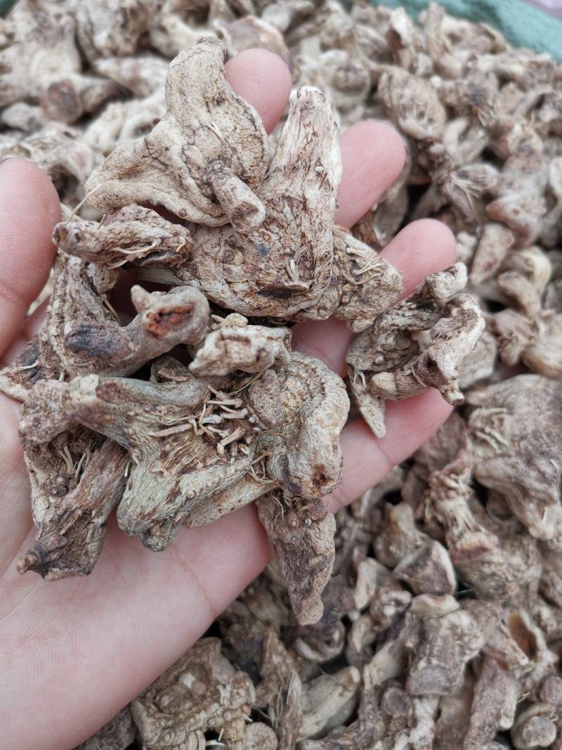 白芨云南无硫全干正品白芨规格齐全可供大货量大从优