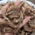 白芨云南无硫全干正品白芨规格齐全可供大货量大从优