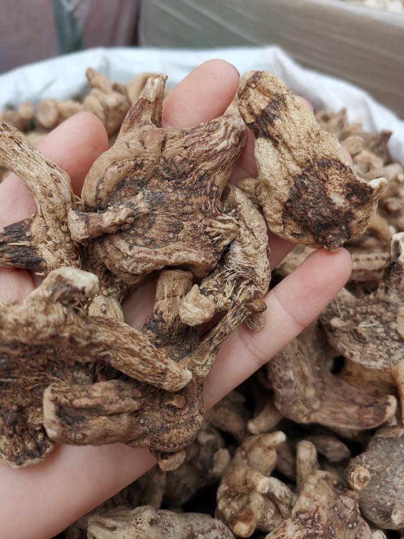 白芨云南无硫全干正品白芨规格齐全可供大货量大从优