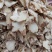 白芨片无硫精选白芨大片规格齐全可供批发零售量大从优