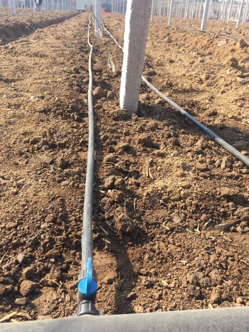 网式过滤碟片过滤器120目过滤效果，支持定制