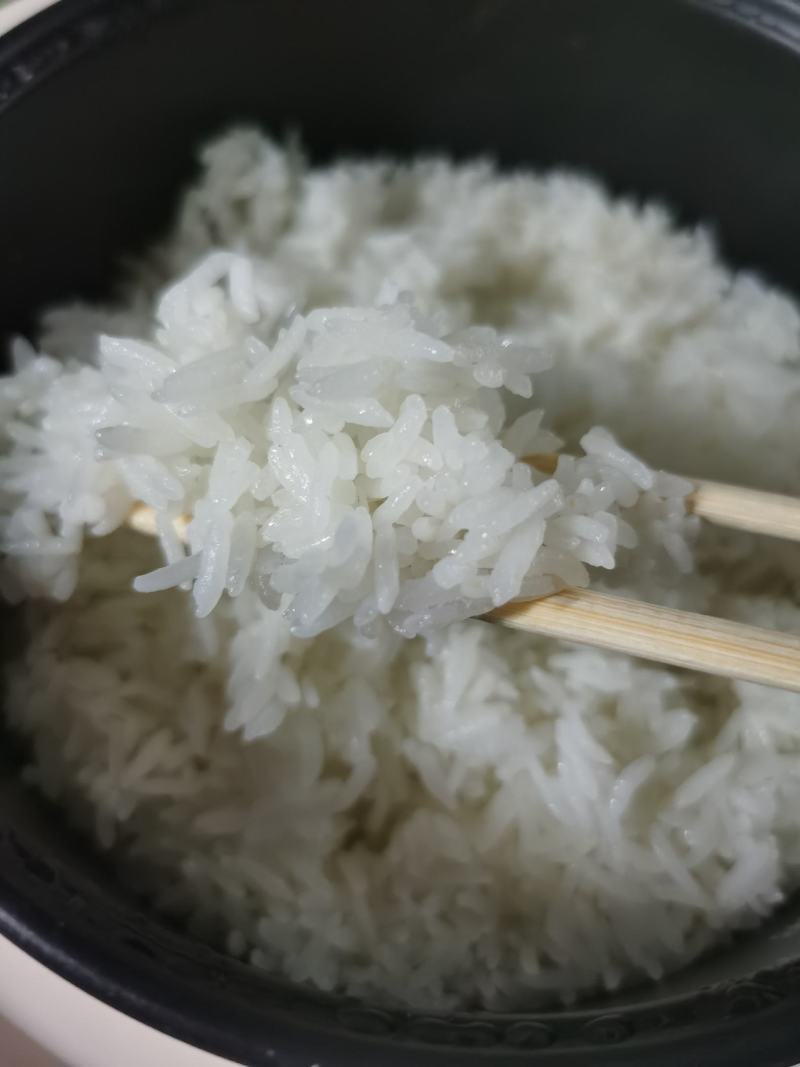 洪湖忆口香再生稻香米订单种植，产自洪湖岸边肥沃绿色的土地