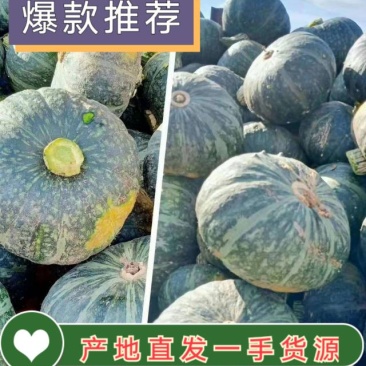 【南瓜】内蒙古板栗南瓜基地直供香甜软糯欢迎致电咨询