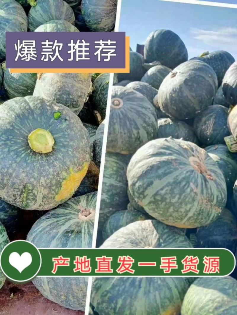 【南瓜】内蒙古板栗南瓜基地直供香甜软糯欢迎致电咨询