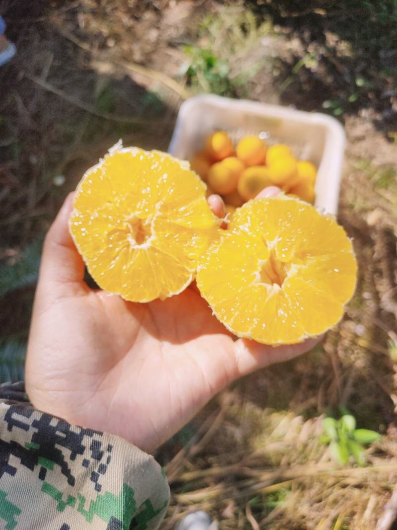正宗江西赣南脐橙皮薄肉赣南产地直供新鲜现摘大量批发整车发