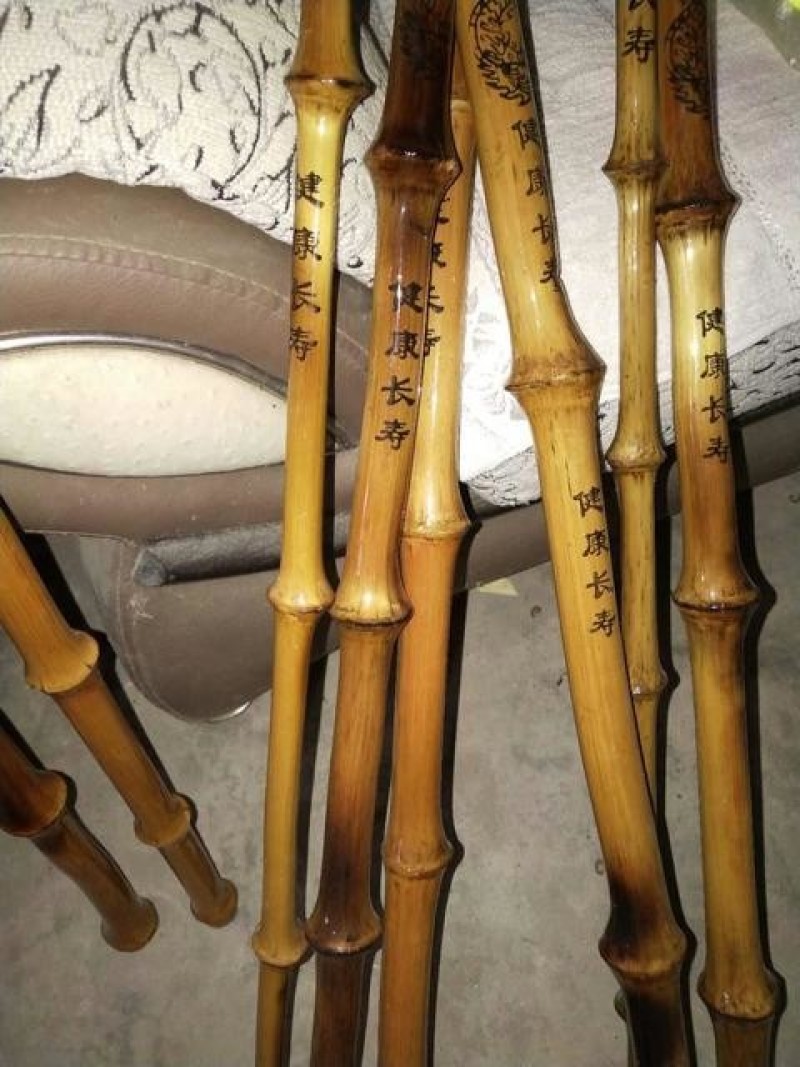 筇竹罗汉竹万亩罗汉林