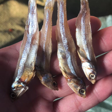 小鱼干淡干小鱼干生晒鱼干【摆摊赶集早市】