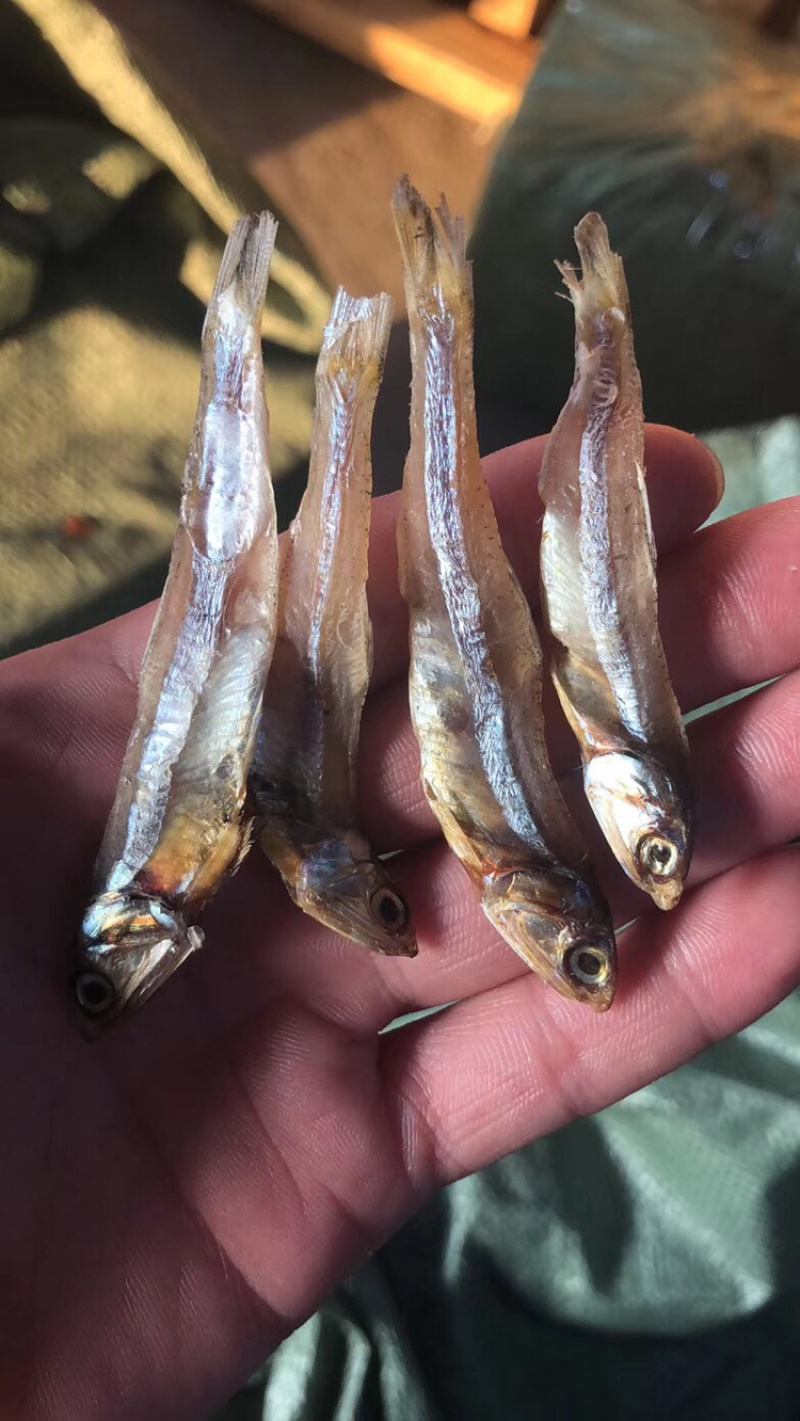 小鱼干淡干小鱼干生晒鱼干【摆摊赶集早市】