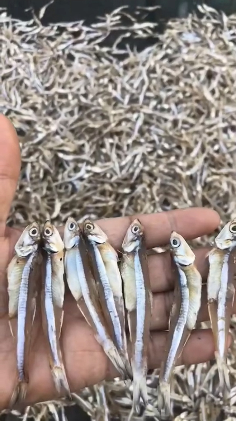 小鱼干淡干小鱼干生晒鱼干【摆摊赶集早市】