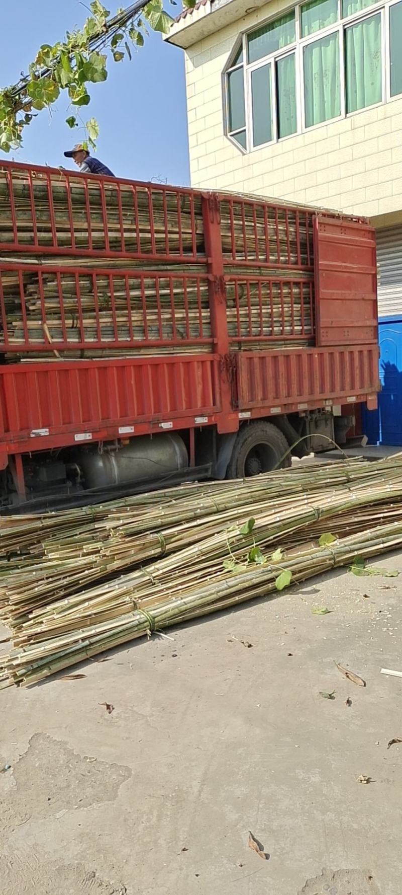 大量出售各种规格竹片，竹子