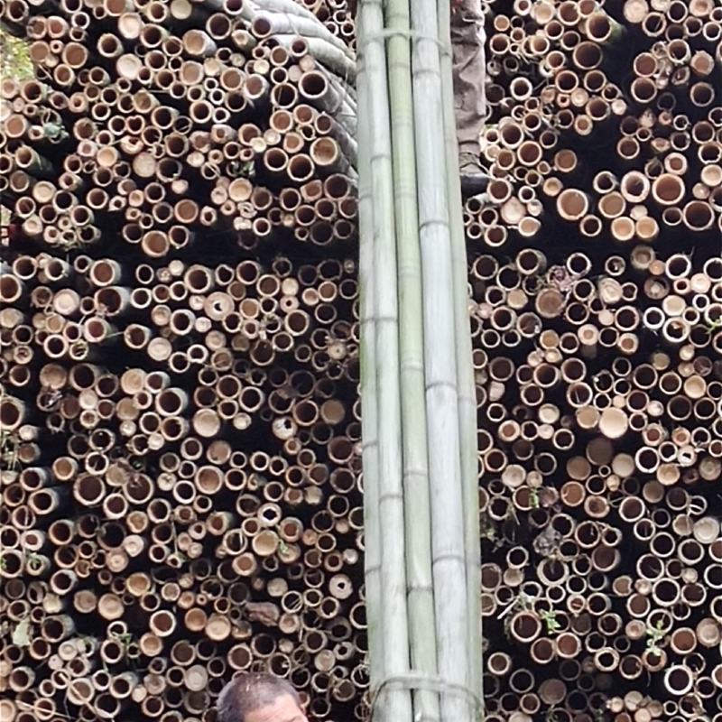 大量出售各种规格竹片，竹子