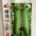 丝瓜种子绿领早熟白籽一代杂交品种种子