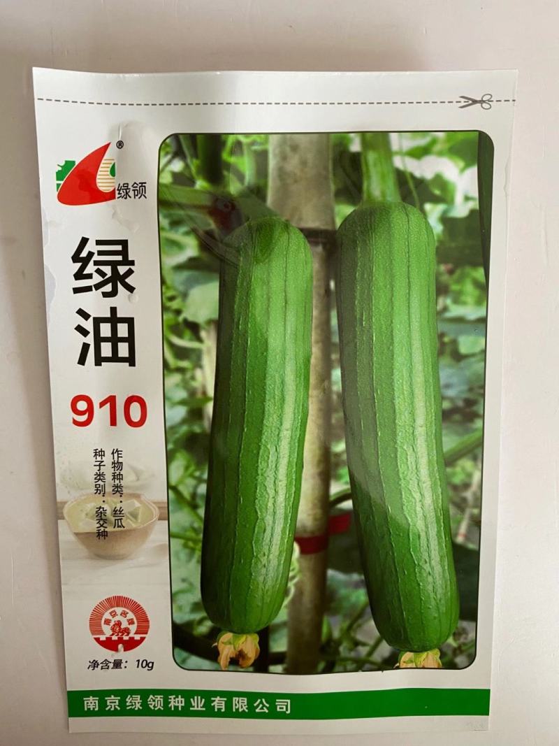 丝瓜种子绿领早熟白籽一代杂交品种种子