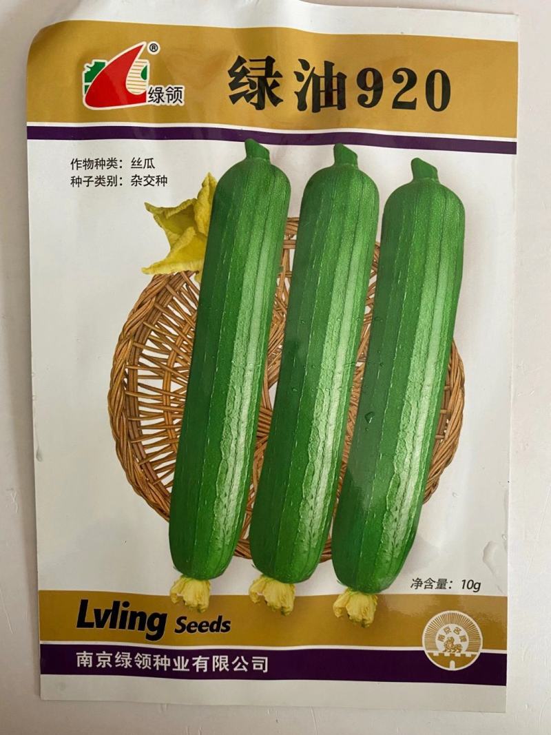 丝瓜种子绿领早熟白籽一代杂交品种种子