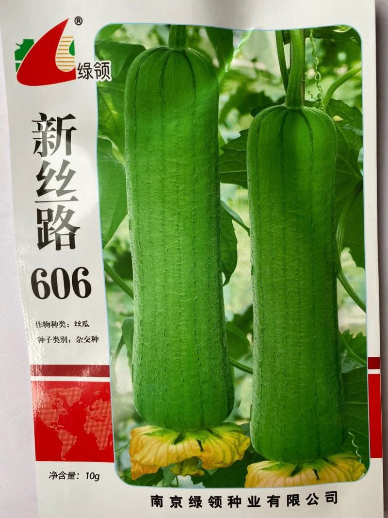 丝瓜种子绿领早熟白籽一代杂交品种种子
