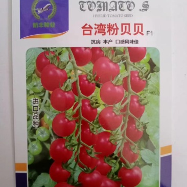小番茄种子杂交品种粉果小西红柿种子种子