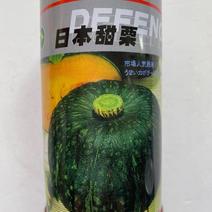 南瓜种子日本甜栗红栗圆形南瓜种子品种齐全欢迎选购