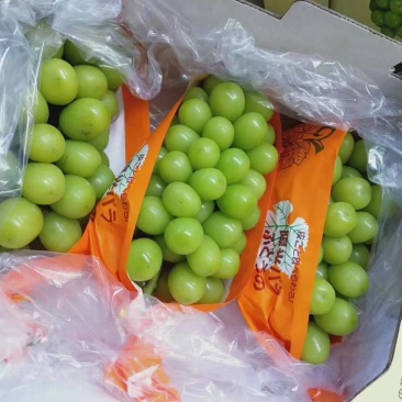 晴王阳光玫瑰电商平台，商超货，水果中的爱马仕