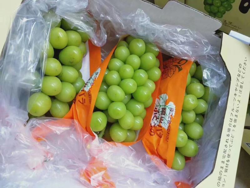 晴王阳光玫瑰电商平台，商超货，水果中的爱马仕