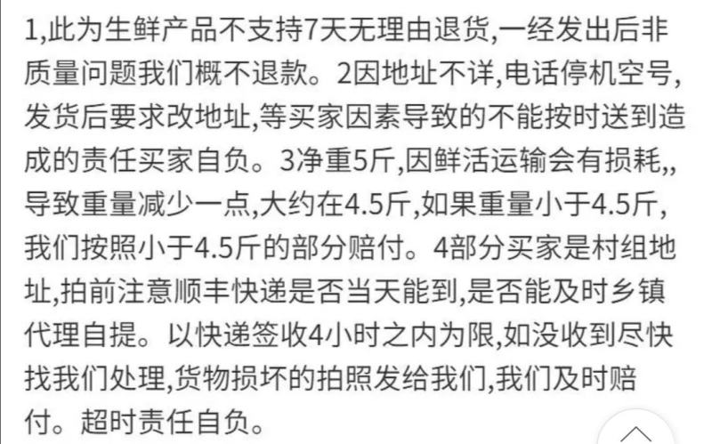 【免处理】新鲜大鱿鱼去头去内脏鱿鱼片八爪鱼章鱼烧烤火锅食