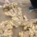 山东优质精品生姜带土可视频看货支持全国各地都发货
