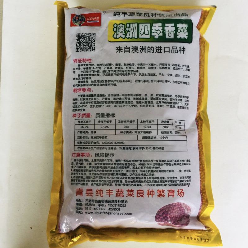 香菜种子三天出苗意大利香菜种子四季绿香进口夏季耐热品种