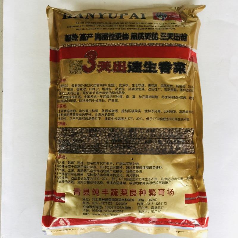 香菜种子三天出苗意大利香菜种子四季绿香进口夏季耐热品种