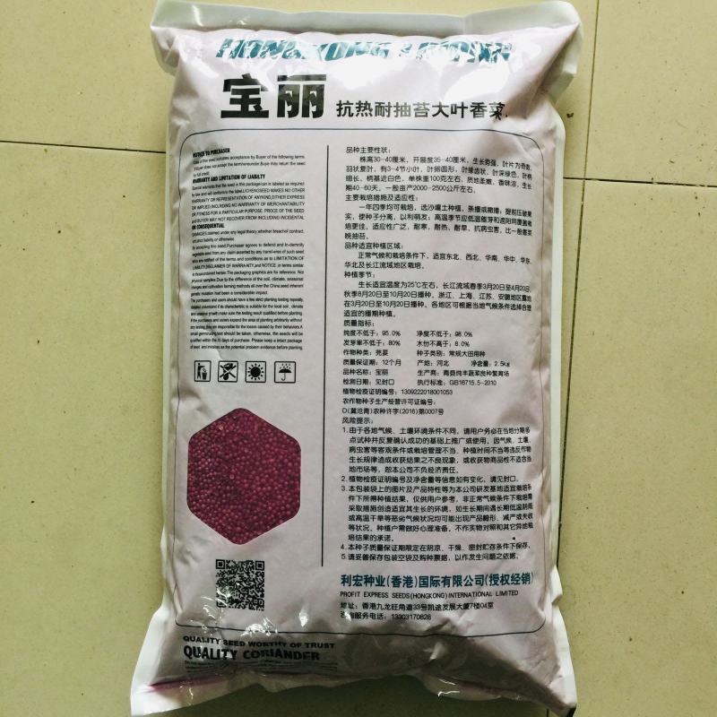 香菜种子三天出苗意大利香菜种子四季绿香进口夏季耐热品种