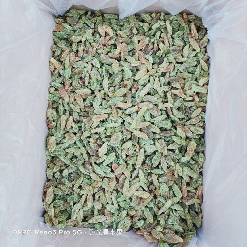 中颗粒绿香妃葡萄干快递，航运，整车包邮