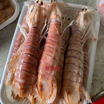 熟冻皮皮虾，活煮皮皮虾，适合自助餐，大拍档，夜宵摊，烧烤