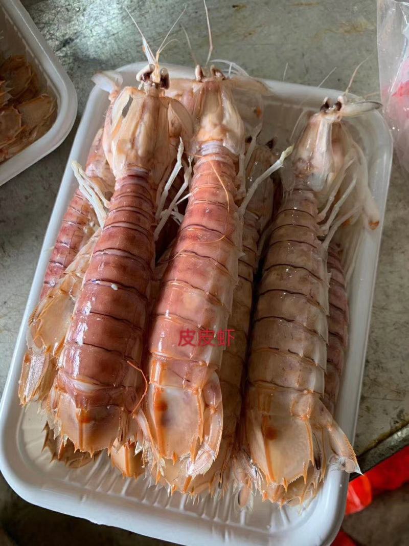 熟冻皮皮虾，活煮皮皮虾，适合自助餐，大拍档，夜宵摊，烧烤