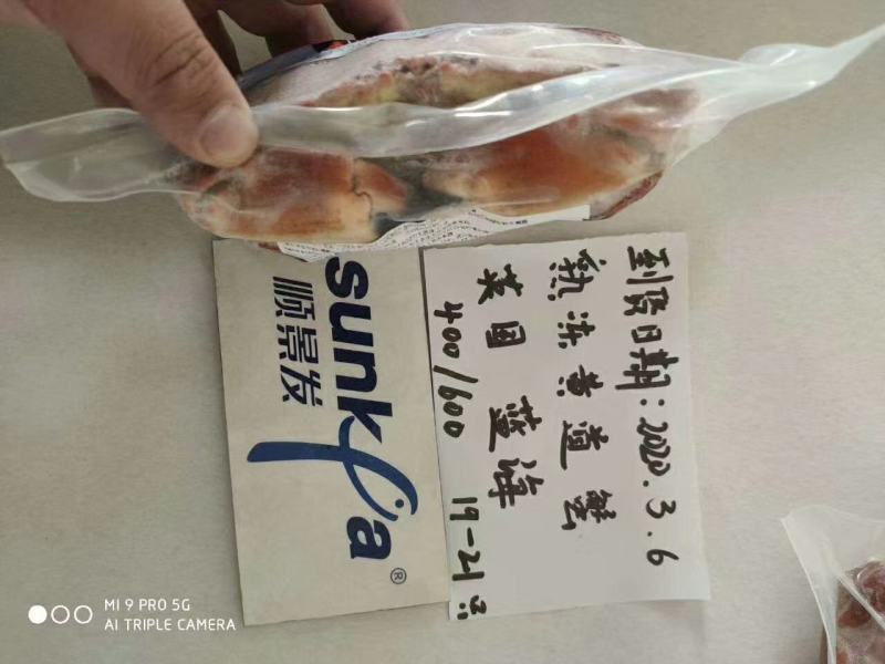 蓝海面包蟹大量到货，手续齐全
