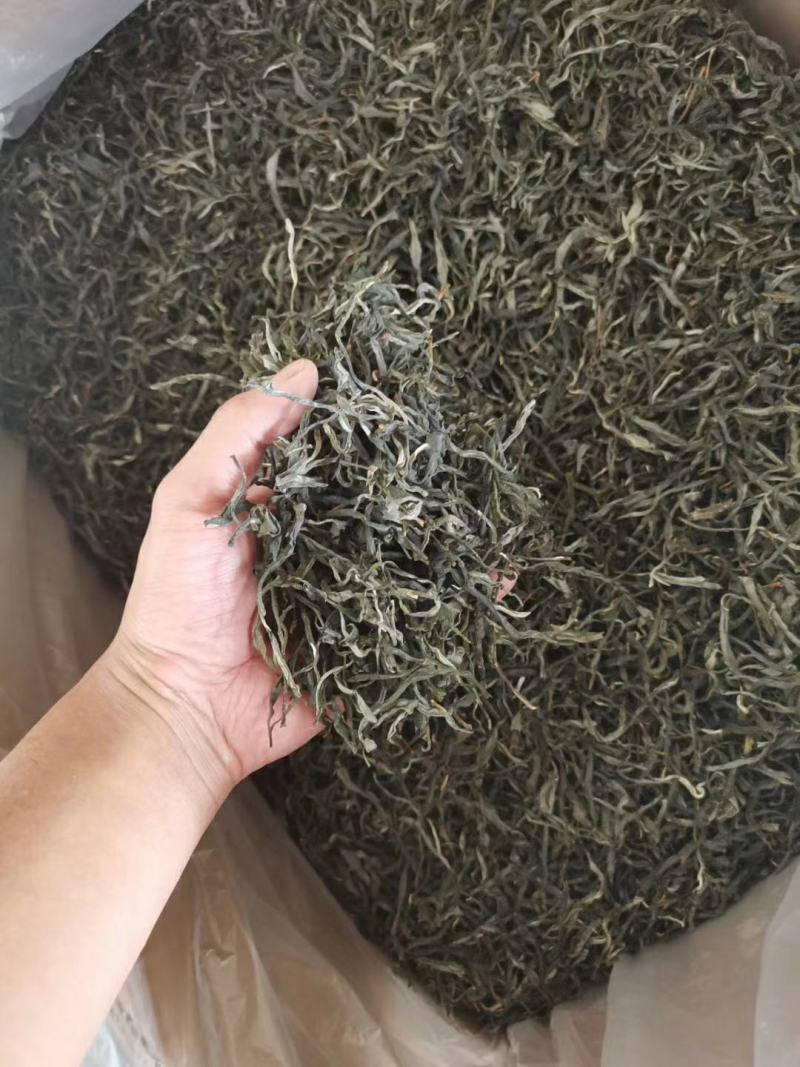 云南普洱2020年古树茶