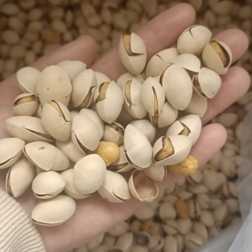 银杏果，白果烤熟的，开袋即食，口感香酥脆甜略带点苦味
