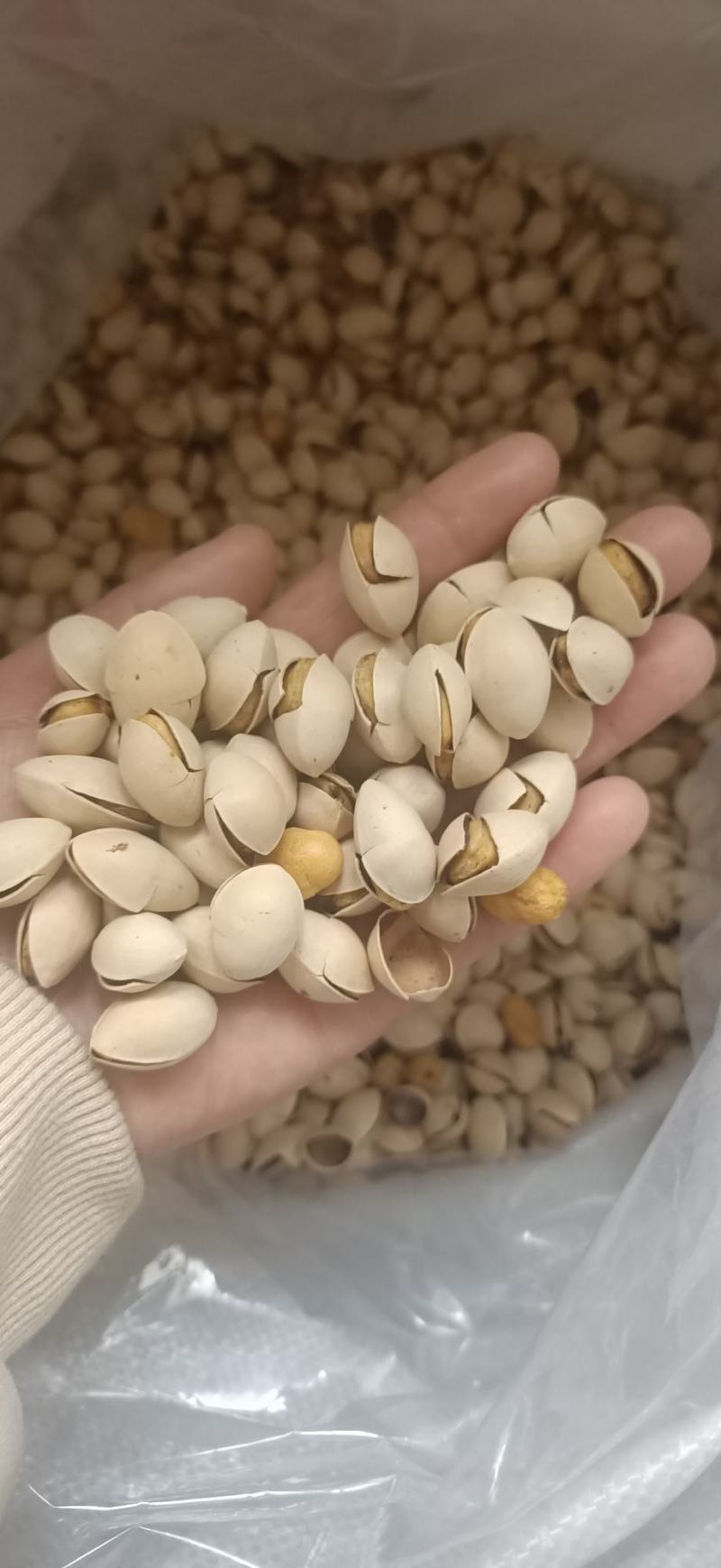 银杏果，白果烤熟的，开袋即食，口感香酥脆甜略带点苦味