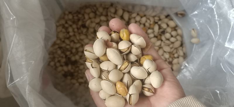 银杏果，白果烤熟的，开袋即食，口感香酥脆甜略带点苦味