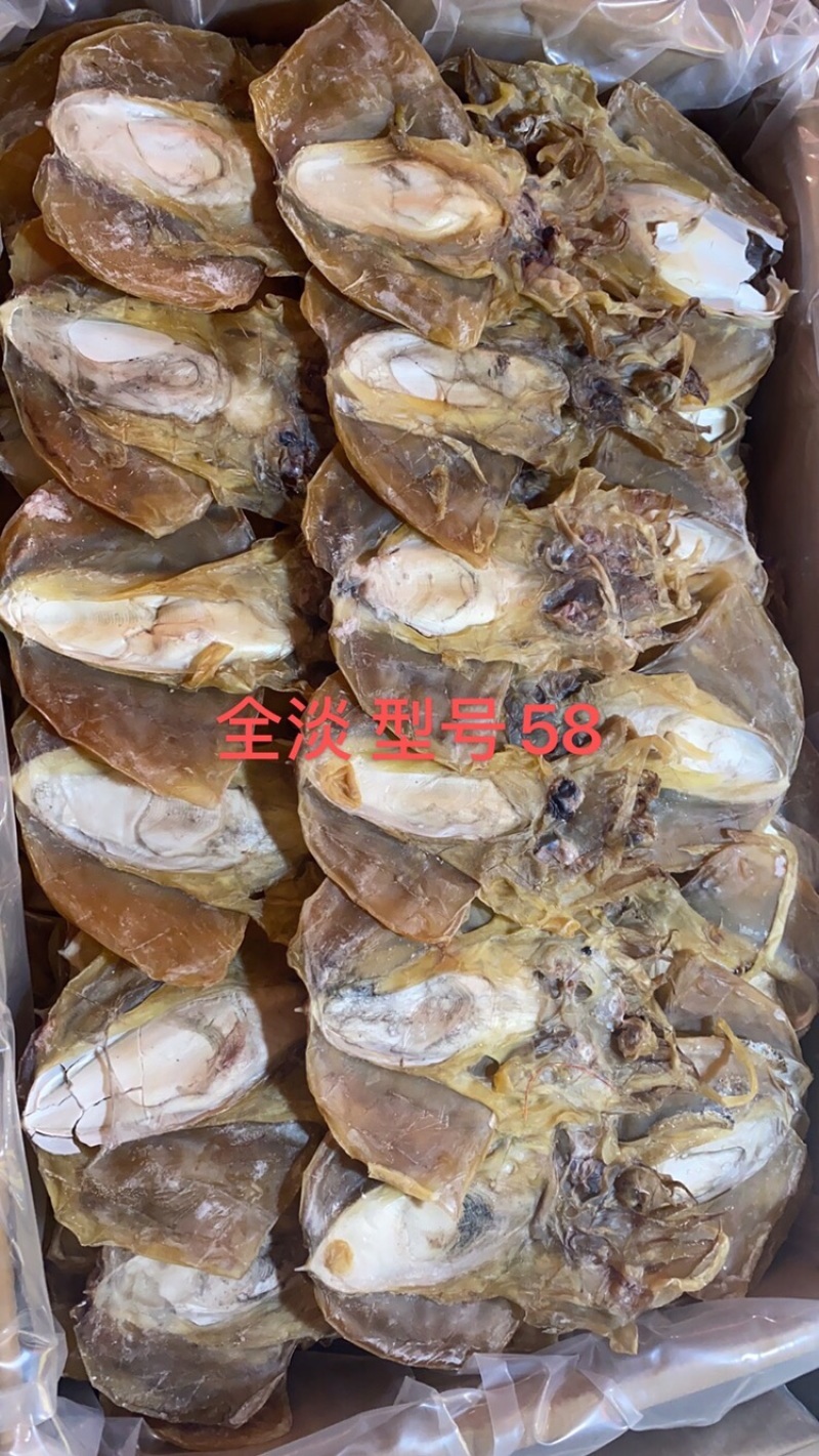 墨鱼干一件30斤全淡干浙江墨鱼一斤约18头