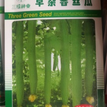 香丝瓜一代交配极早熟色泽好肉质细嫩味香甜耐老化耐高温抗病
