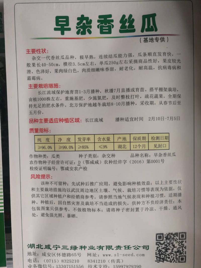香丝瓜一代交配极早熟色泽好肉质细嫩味香甜耐老化耐高温抗病