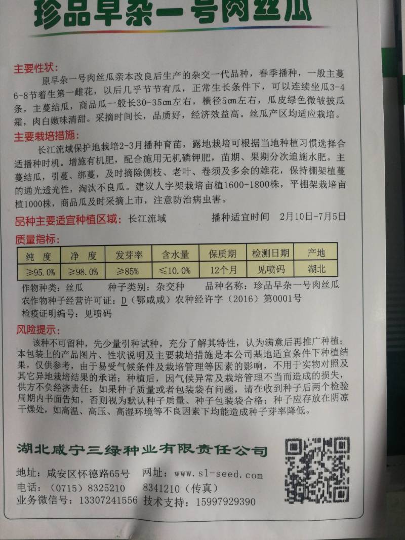 珍品早杂一号丝瓜一代交配瓜皮绿色微皱披瓜霜肉白嫩味清甜