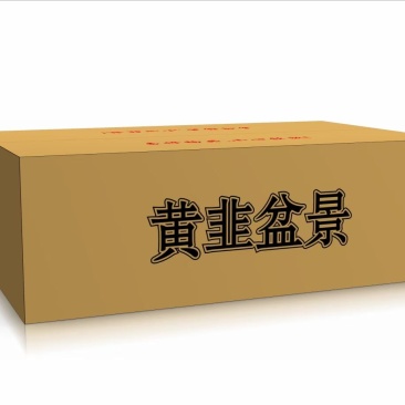黄韭盆景盆栽韭菜根苗南宫黄韭客厅阳台室内庭院礼品蔬菜食品
