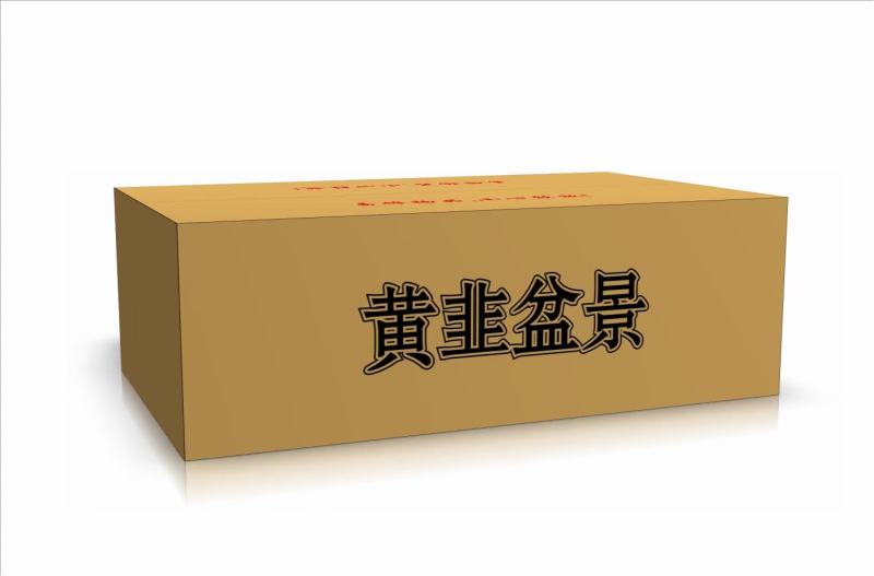 黄韭盆景盆栽韭菜根苗南宫黄韭客厅阳台室内庭院礼品蔬菜食品