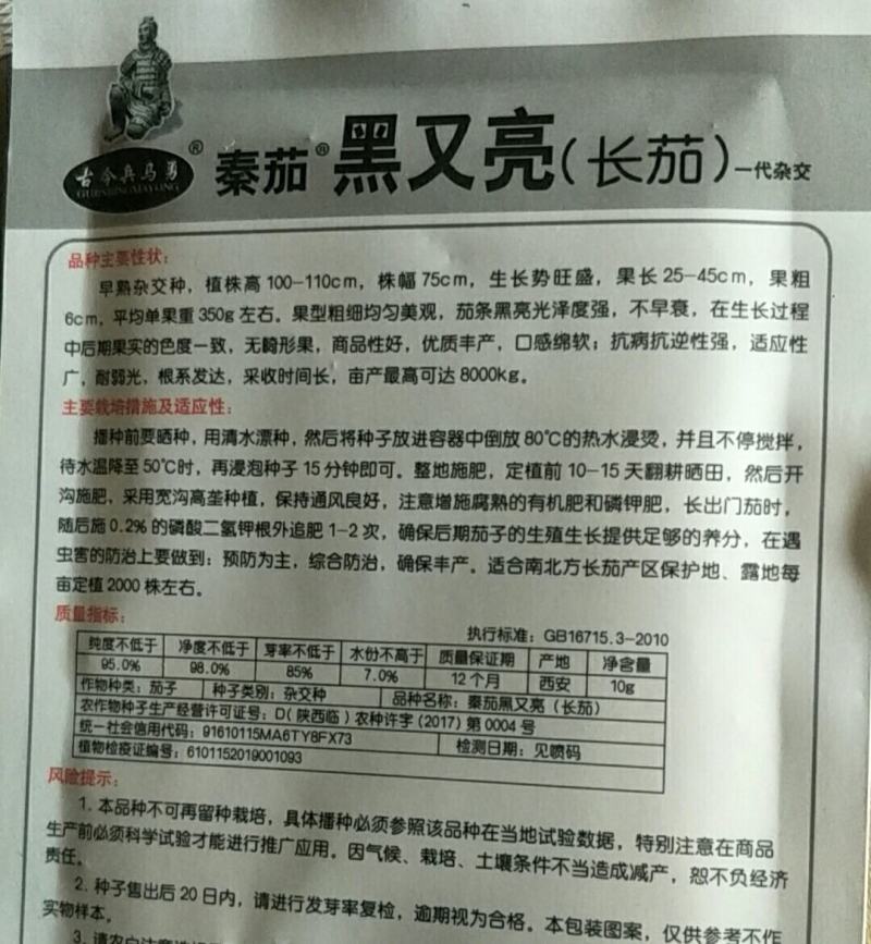 黑又亮长茄种子一代杂交